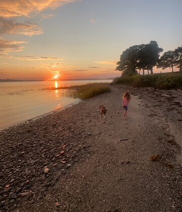 Maine Beaches